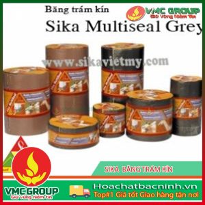sika-bang-tram-kin