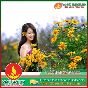 huong-ngan-hoa