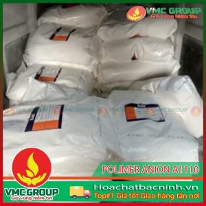 polimer-anion-a1110